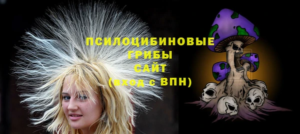 твердый Михайлов